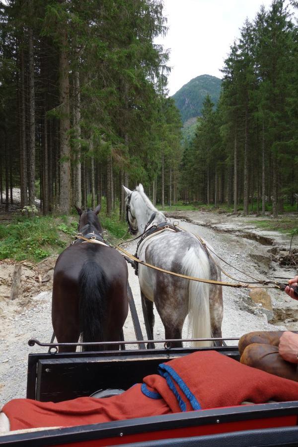Ferienhaus Hoellbacher Bad Gastein Kültér fotó